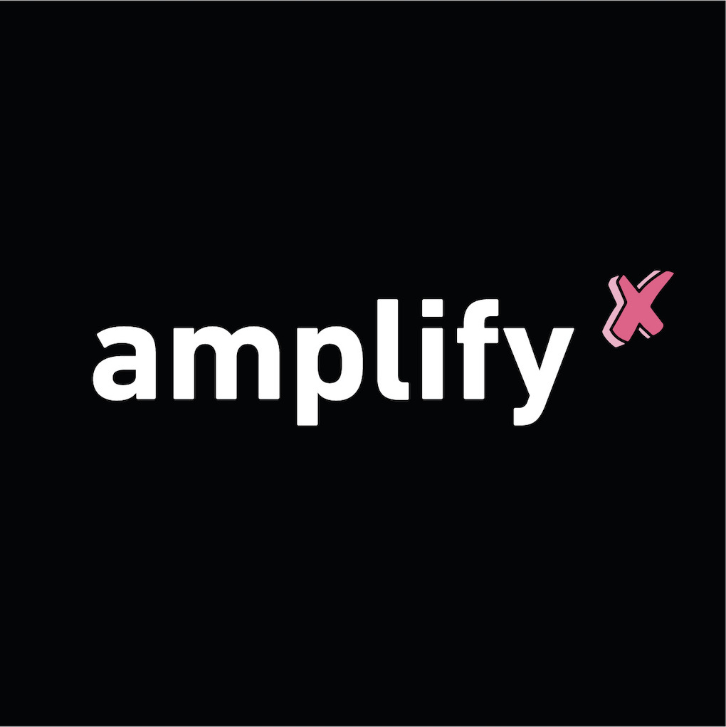 AmplifyX image